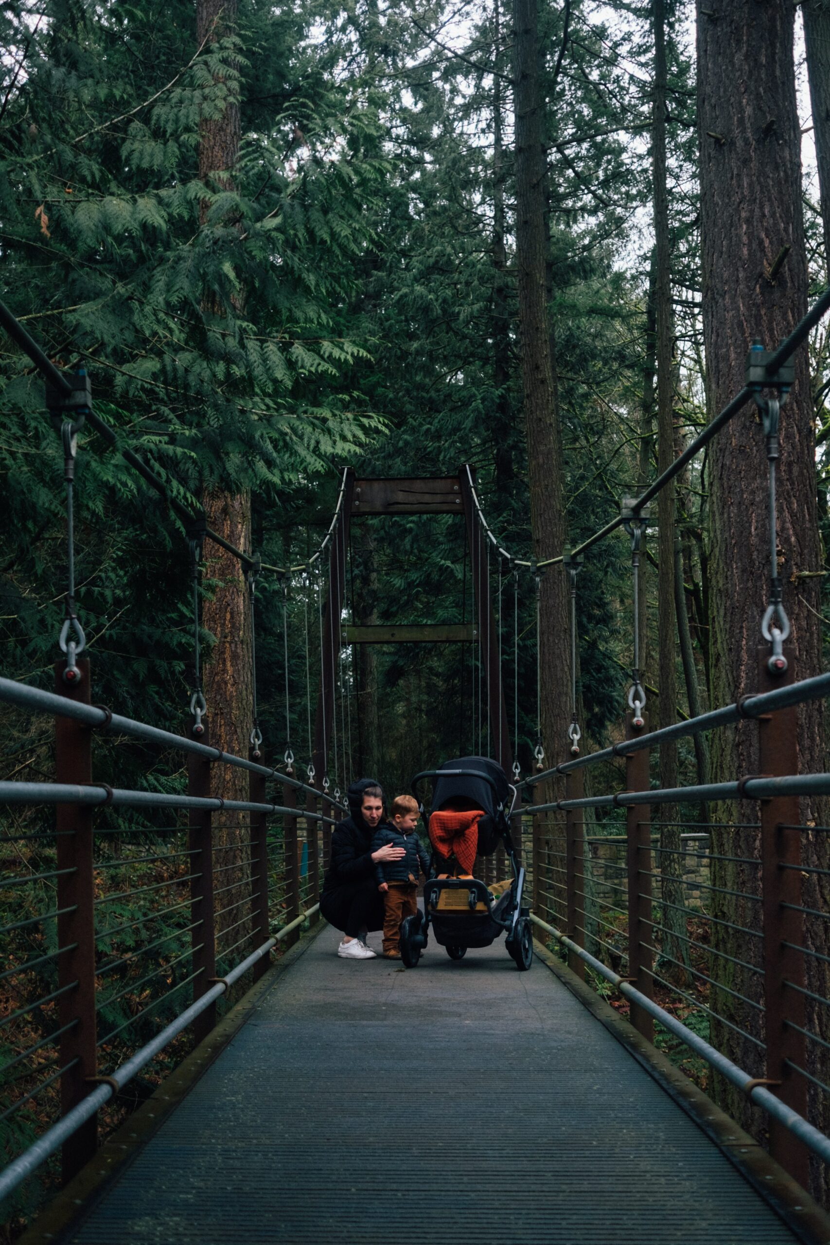 Cross walking bridge at the Bellevue Bontanical Gardens in Bellevue WA